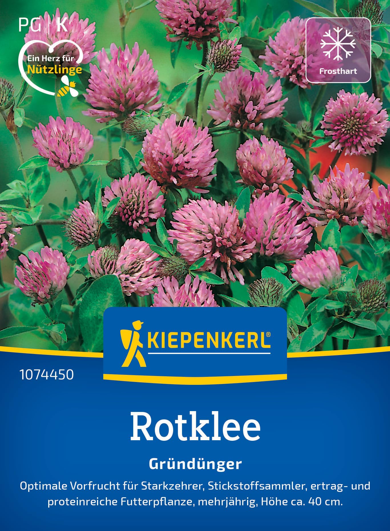 kiepenkerl-phaceliasamen-bienenfreund-1074350-gr-nd-ngungssaat image 8