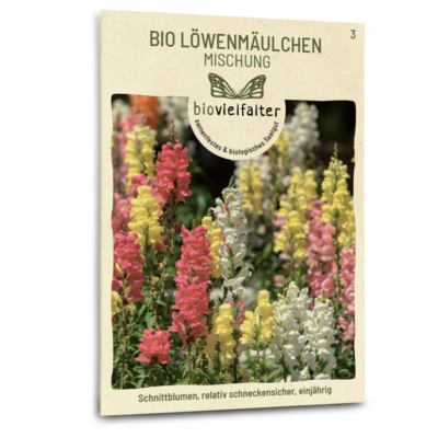 samen-maier-bio-l-wenm-ulchen-mischung-blumensamen-30-60-cm image 3