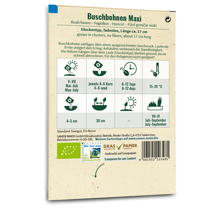 samen-maier-bio-buschbohnen-maxi-saatgut image 2