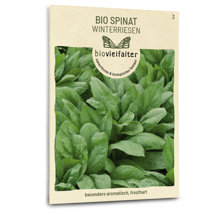 samen-maier-bio-spinat-winterriesen-herbstspinat-samen image 1