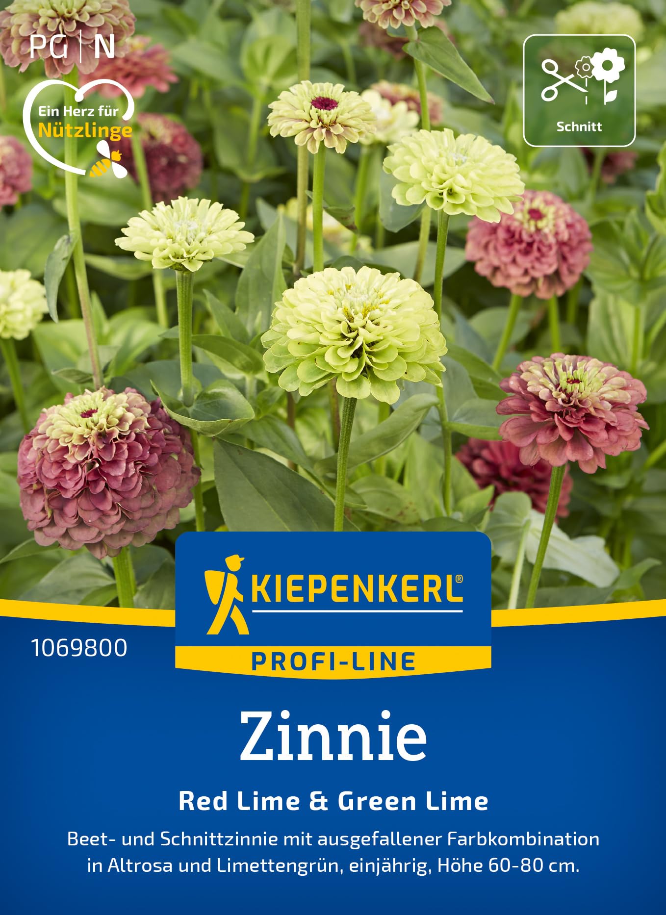 kiepenkerl-zinnien-red-lime-green-lime-blumensamen image 1