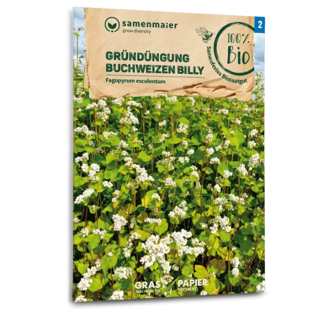 samen-maier-bio-gr-nd-ngung-buchweizen-billy-bodensamen image 1
