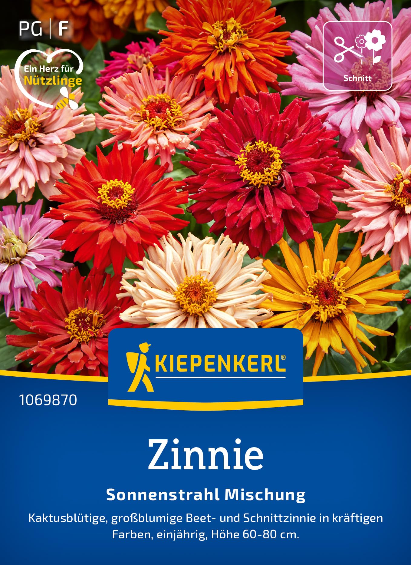 kiepenkerl-zinniensamen-old-mexico-mischung-blumensaat image 6