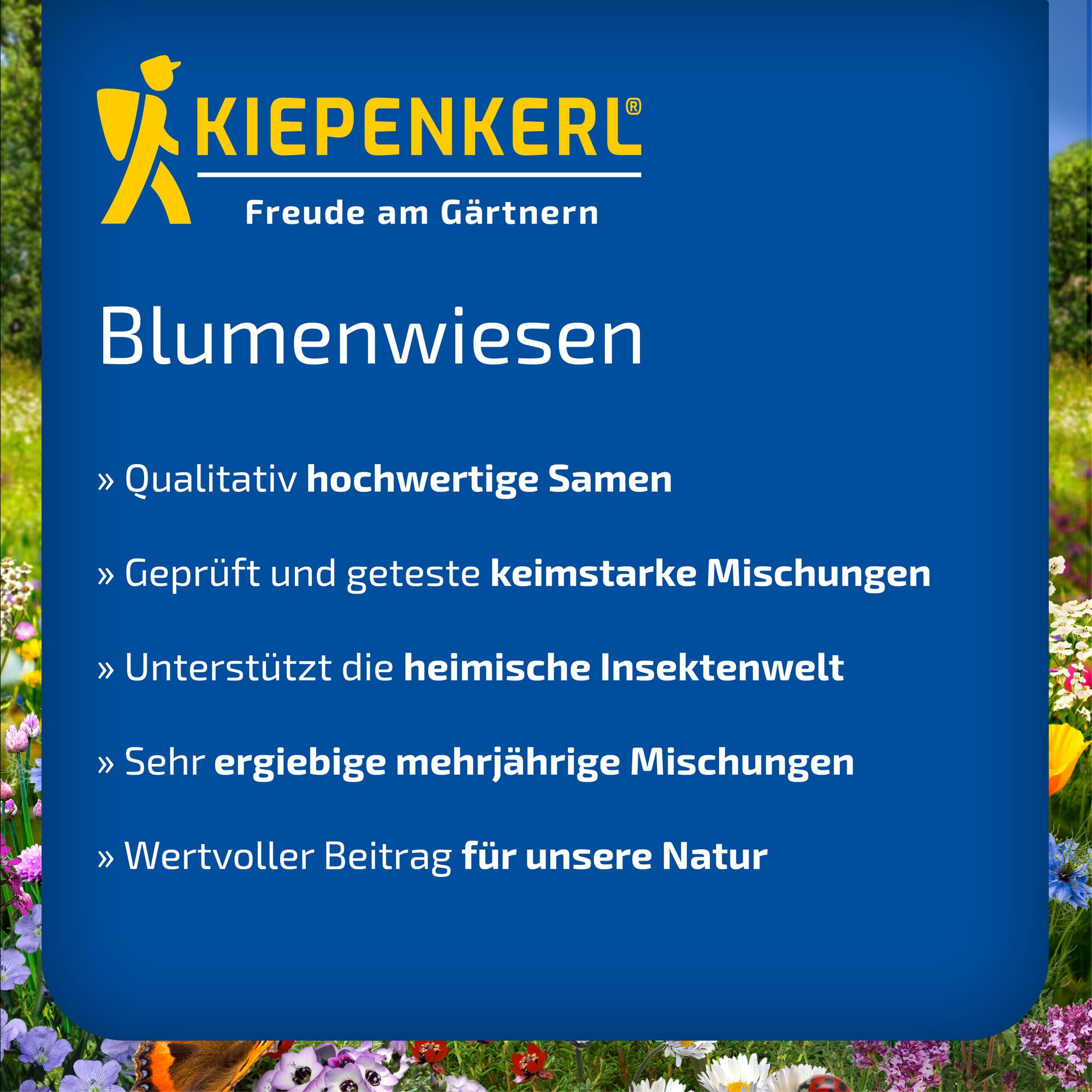 kiepenkerl-nature-niedrige-wildblumen-kr-uterwiese-rasensaat image 5