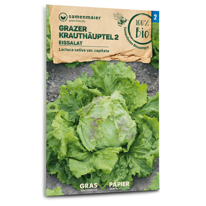samen-maier-bio-eissalat-grazer-krauth-uptel-2-saatgut image 1