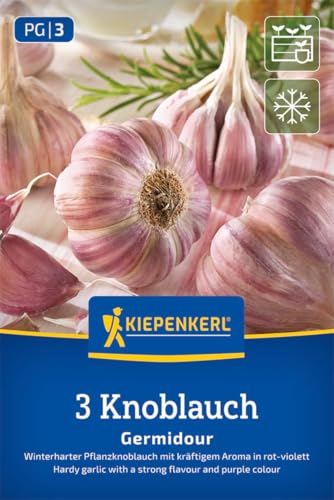kiepenkerl-winterknoblauch-germidour-steckzwiebeln image 7