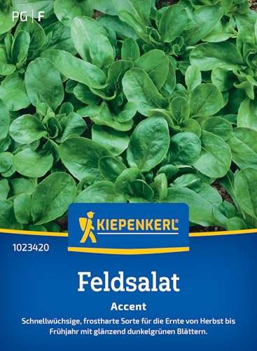 kiepenkerl-feldsalatsamen-accent-1023420-frostharte-gem-sesaat image 7